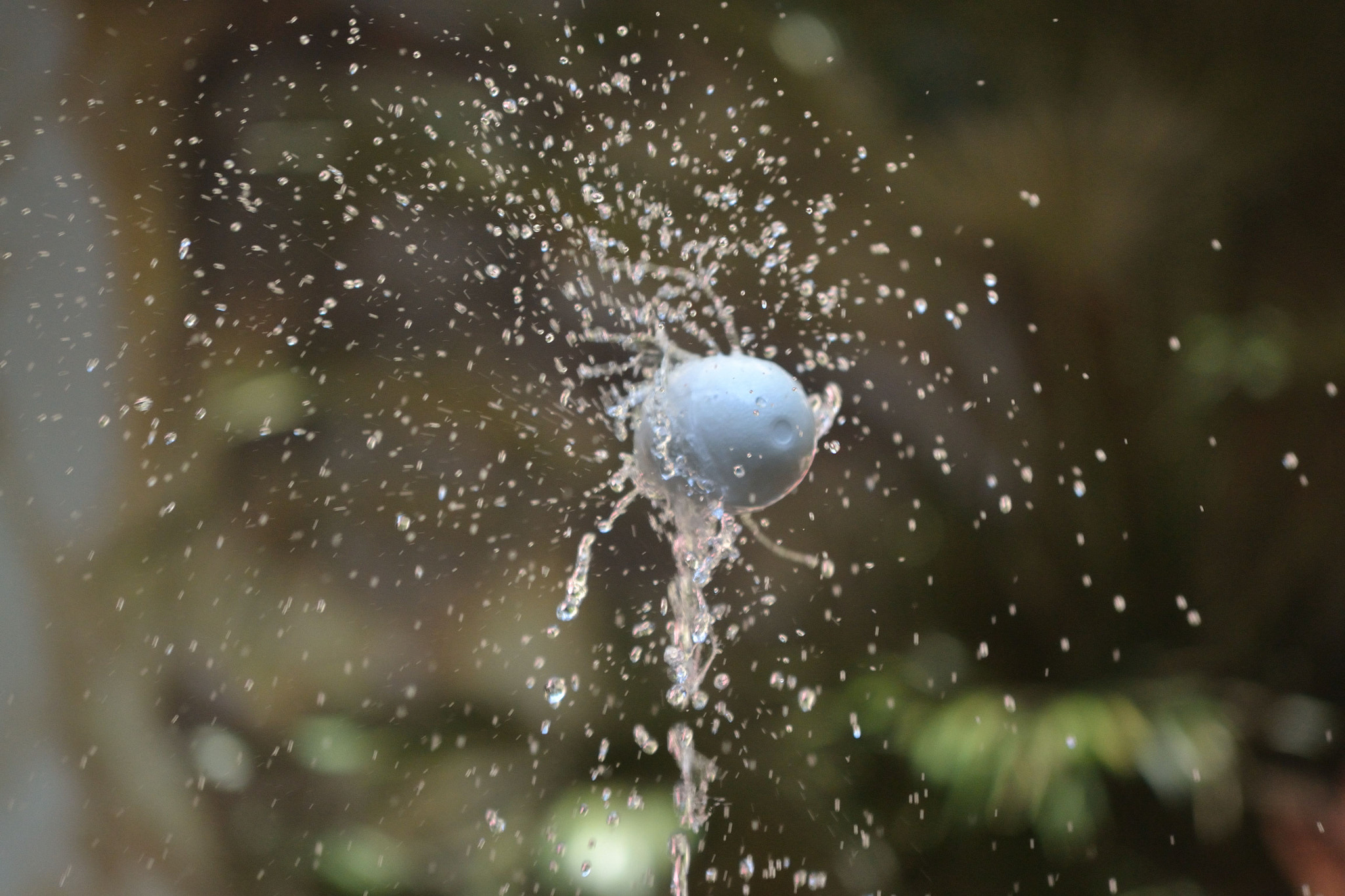 Nikon D3100 sample photo. L'ou com balla 2 photography