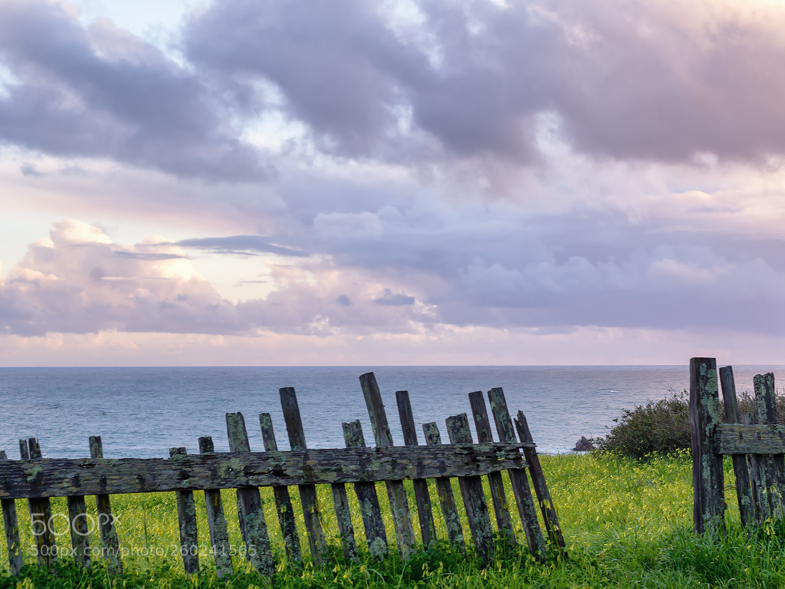 Nikon D610 sample photo. Fort ross, california photography