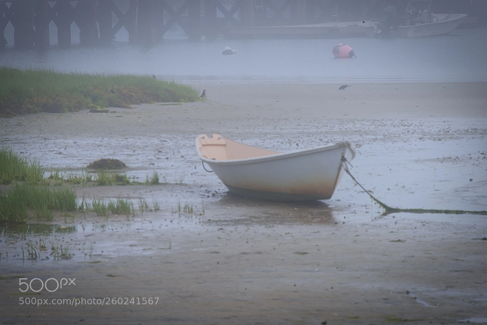 Nikon D800 sample photo. In the fog photography