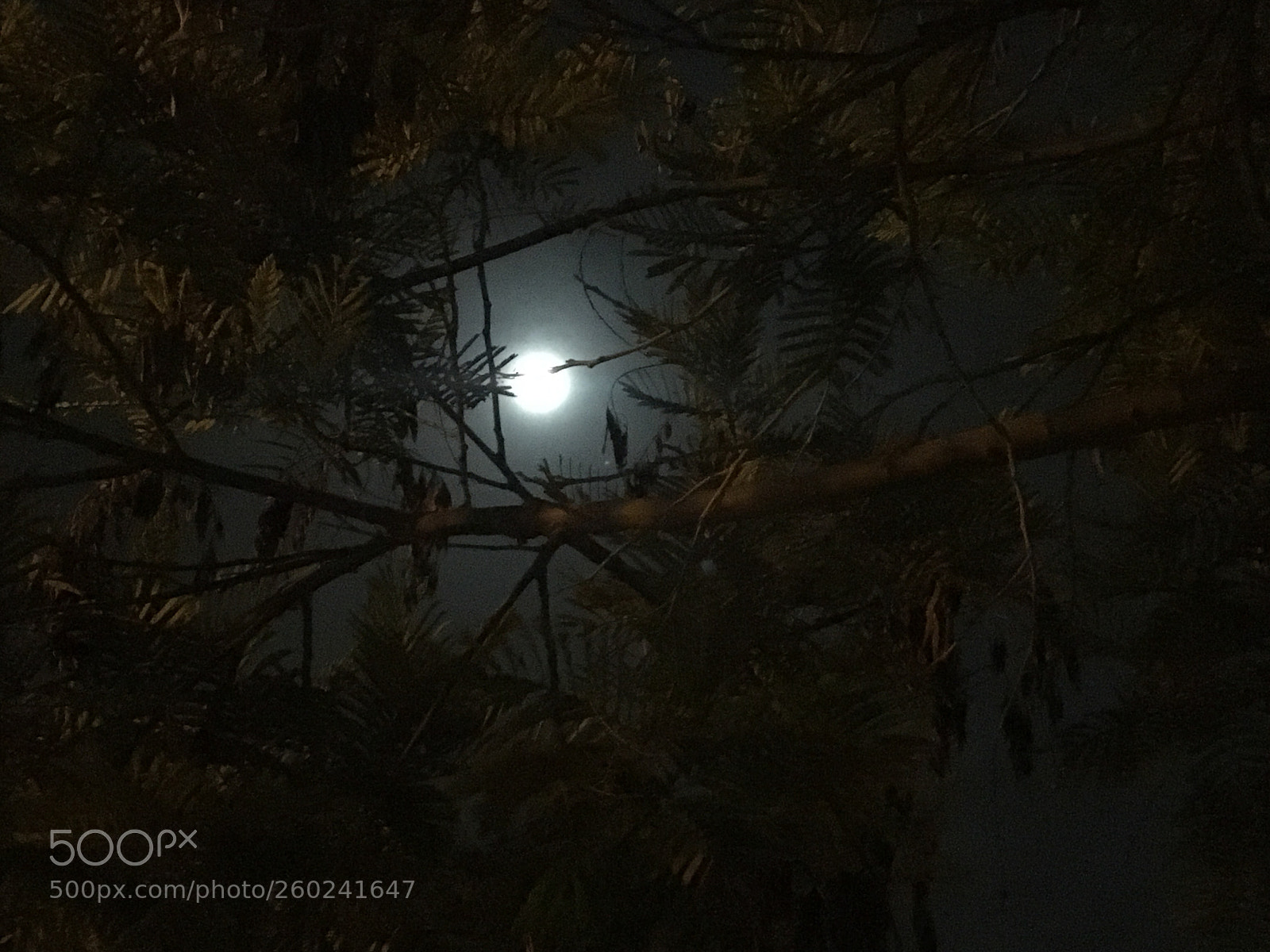 Apple iPhone 6s sample photo. Full moon photography
