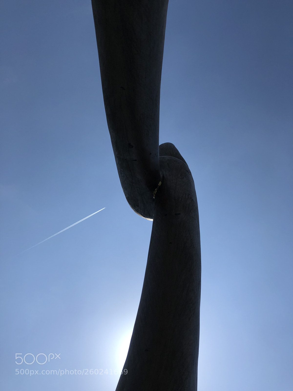 Apple iPhone X sample photo. Untitled photography