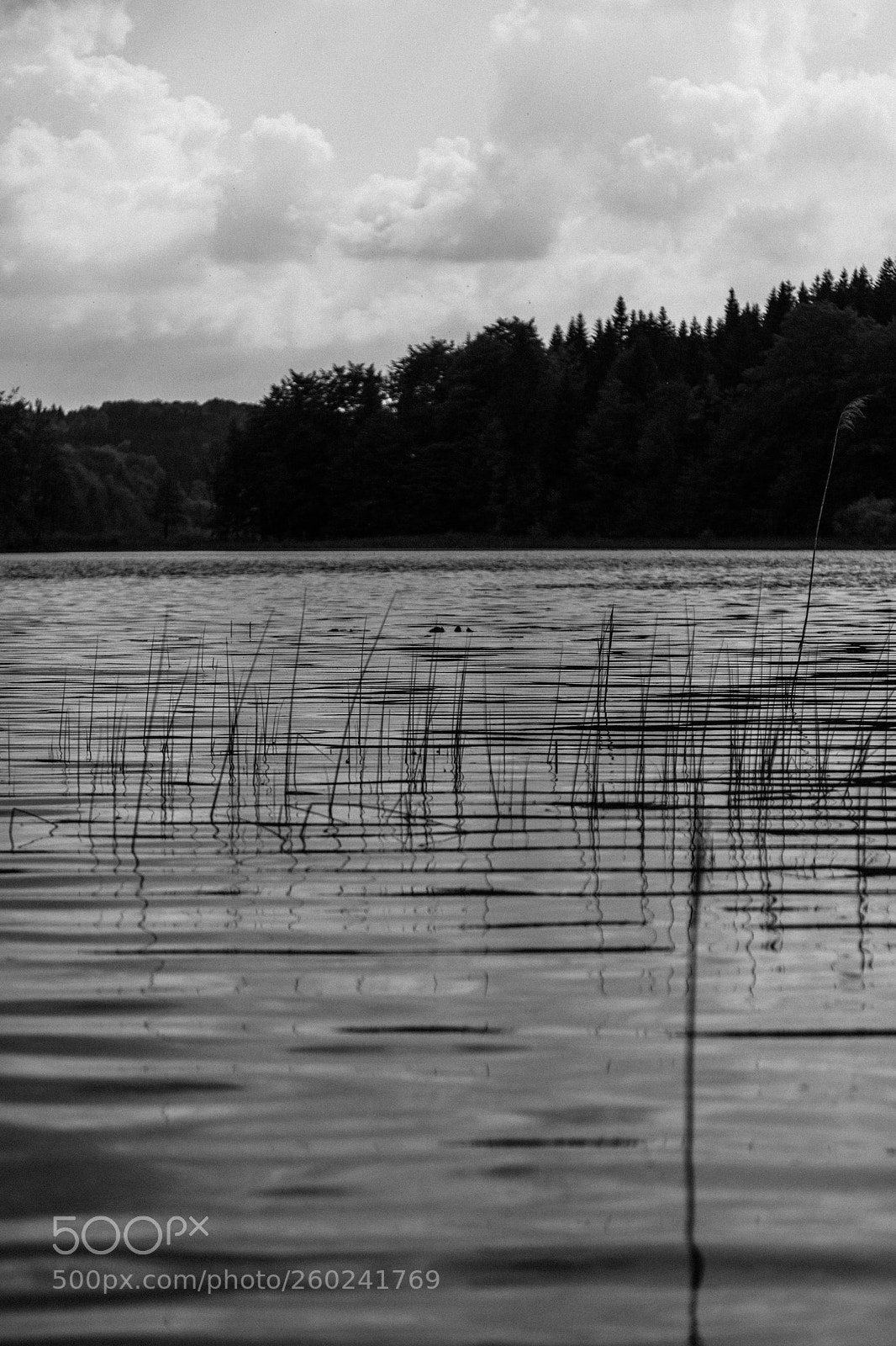 Canon EOS 6D sample photo. Petit lac maclu, jura photography