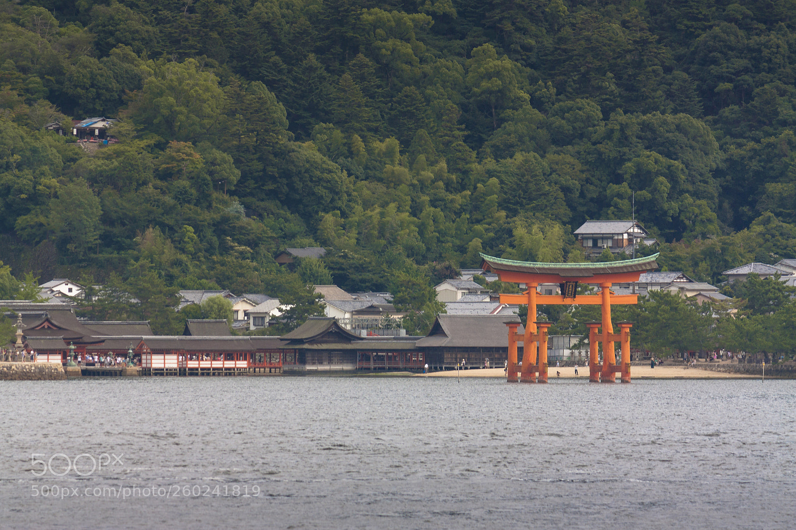 Canon EOS 450D (EOS Rebel XSi / EOS Kiss X2) sample photo. Miyajima photography