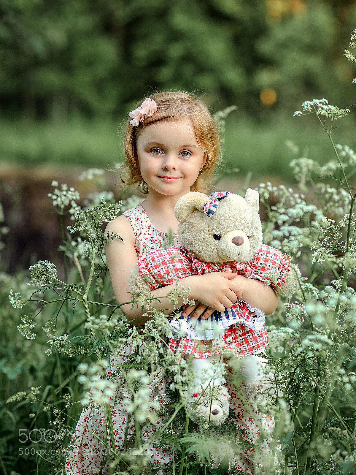 Nikon D800 sample photo. Девочка с мишкой photography