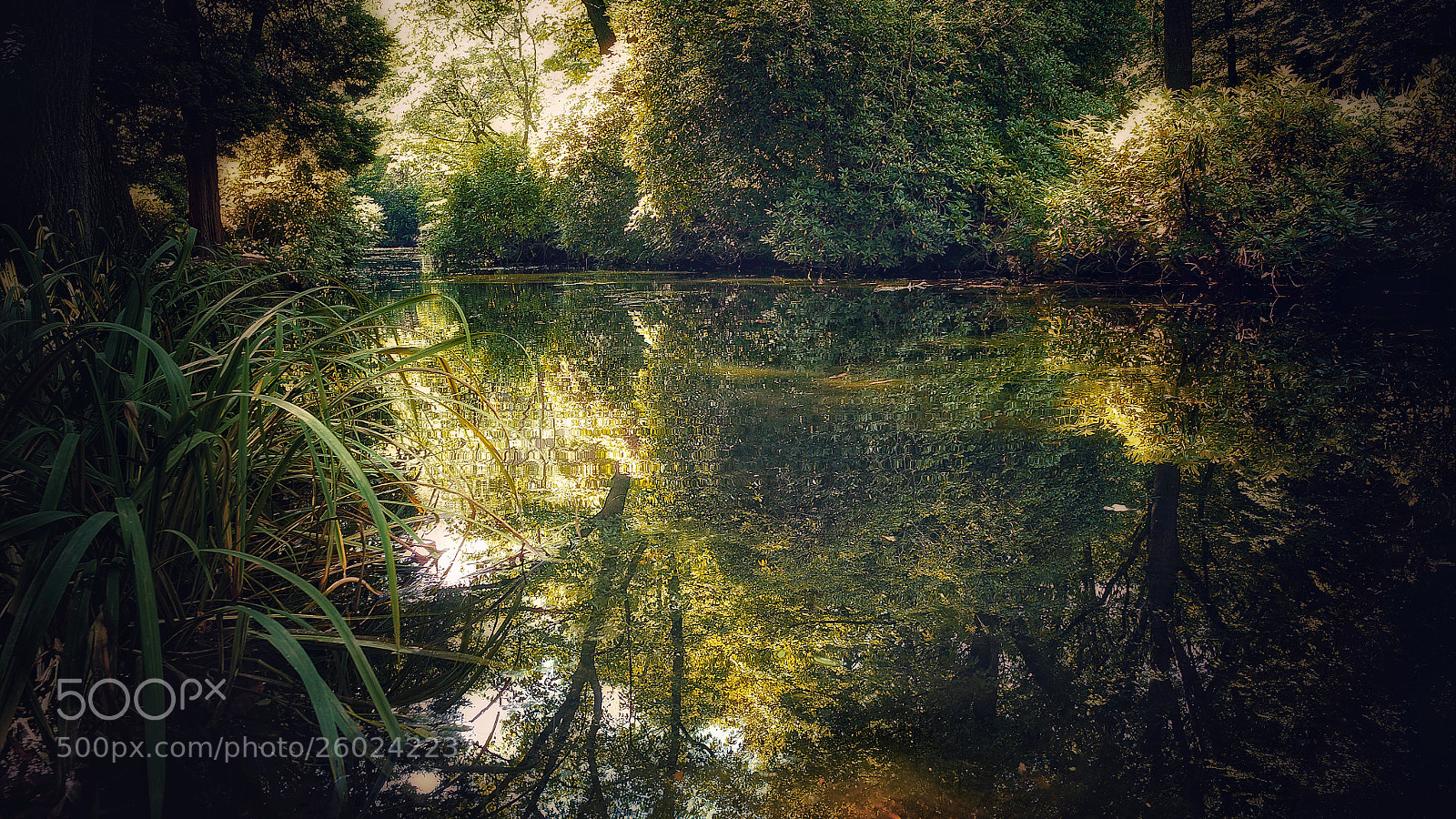 Panasonic Lumix DMC-GX7 sample photo. Down by the water photography