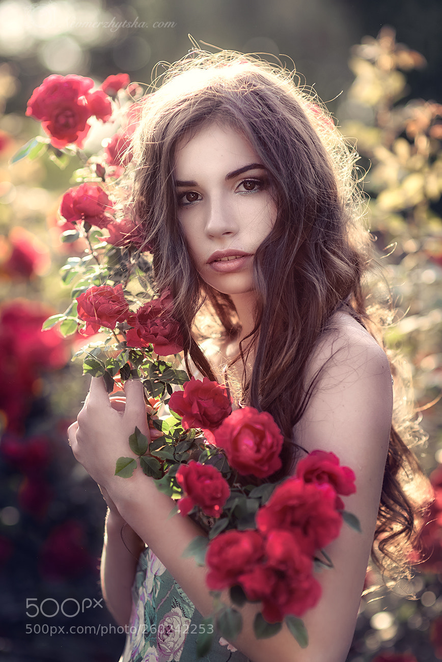 Nikon D610 sample photo. Wild rose photography