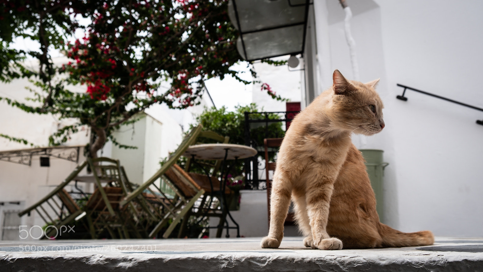 Fujifilm X-T2 sample photo. Dscf photography