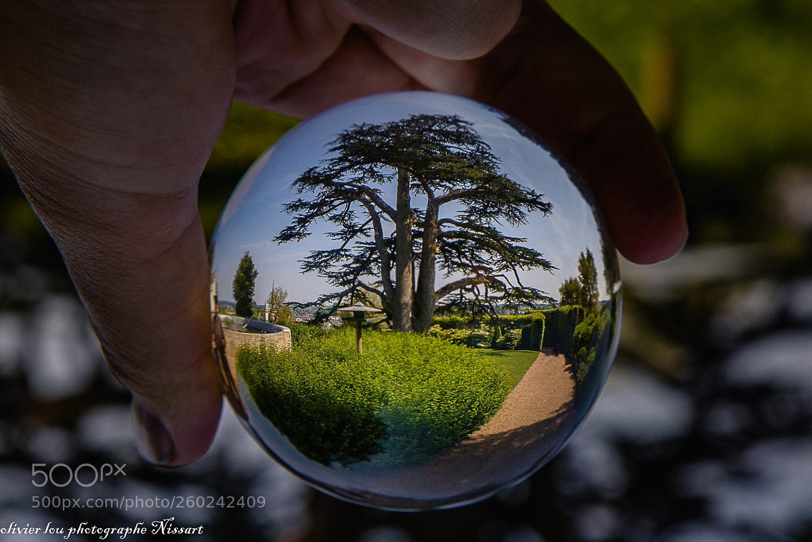 Canon EOS 80D sample photo. Untitled photography