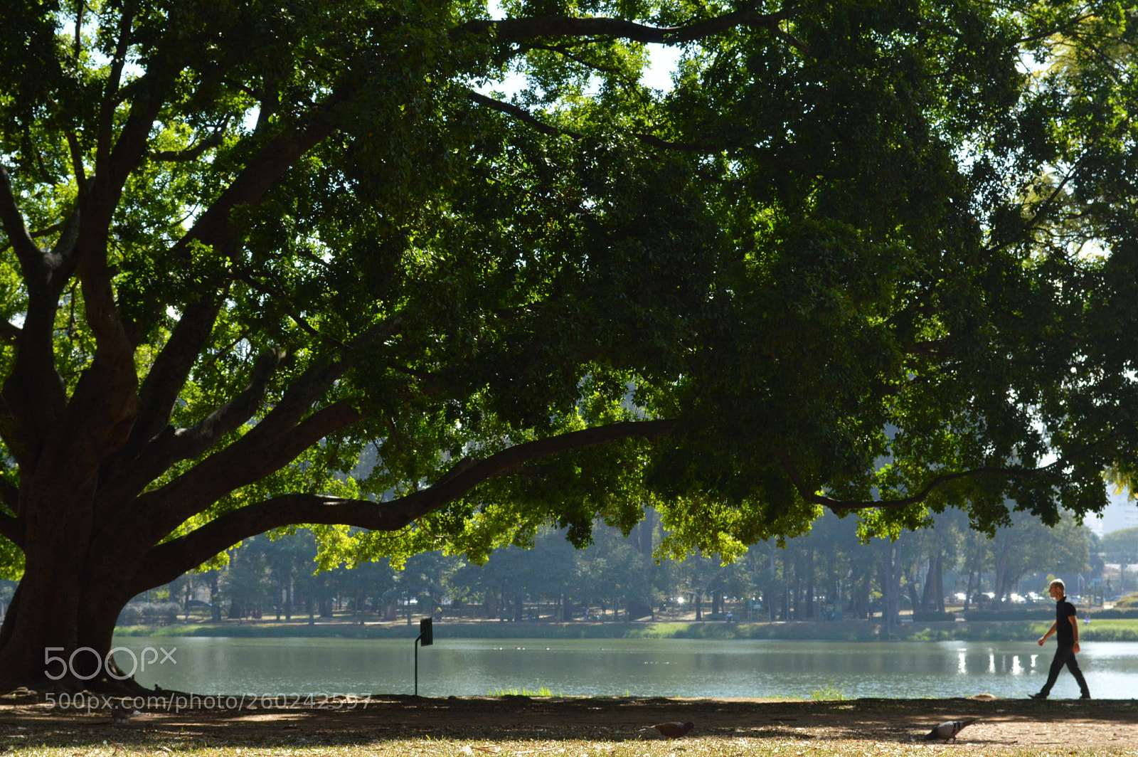 Nikon D3200 sample photo. A great day photography