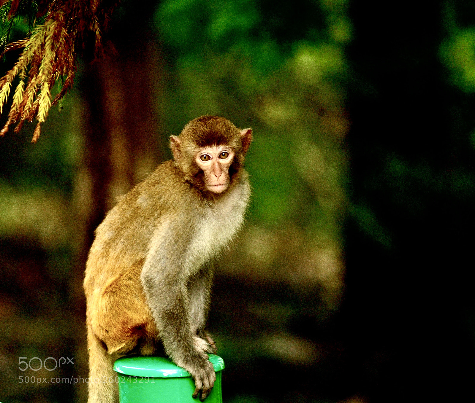 Nikon D700 sample photo. Untitled photography