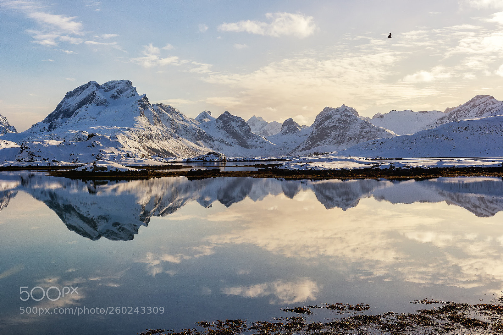 Canon EOS 100D (EOS Rebel SL1 / EOS Kiss X7) sample photo. Mirroring | lofoten photography