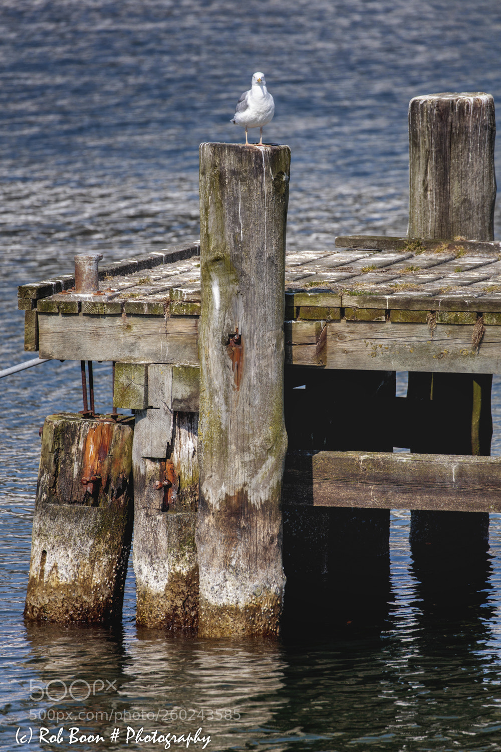 Canon EOS 5DS sample photo. My observation post harbor photography