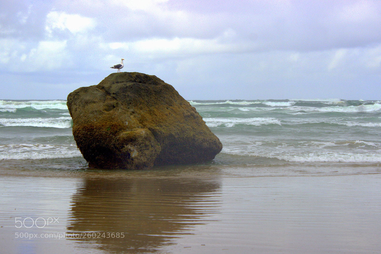 Canon EOS 600D (Rebel EOS T3i / EOS Kiss X5) sample photo. Beach rock and seagull photography