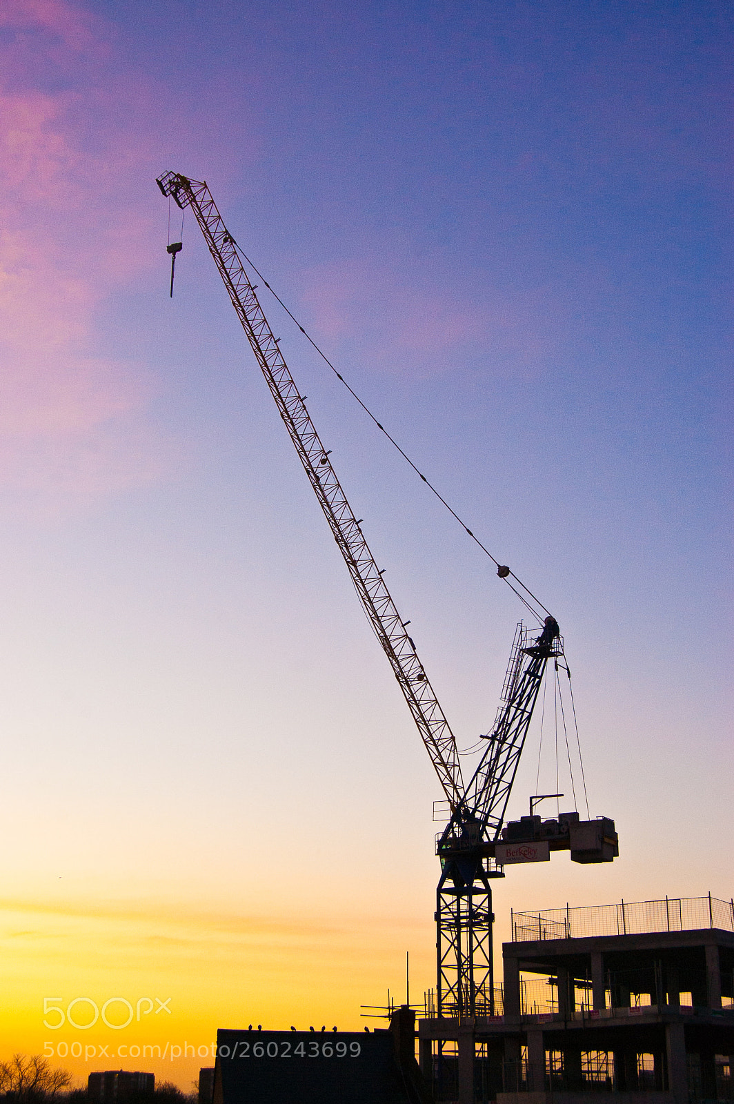 Nikon D40 sample photo. Silhouette of a crane photography