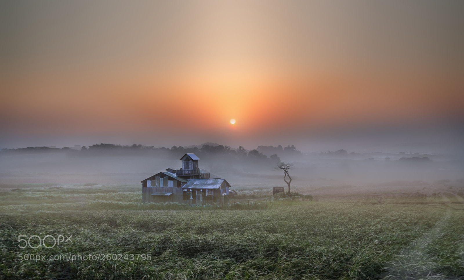 Nikon D610 sample photo. A misty daybreak over photography