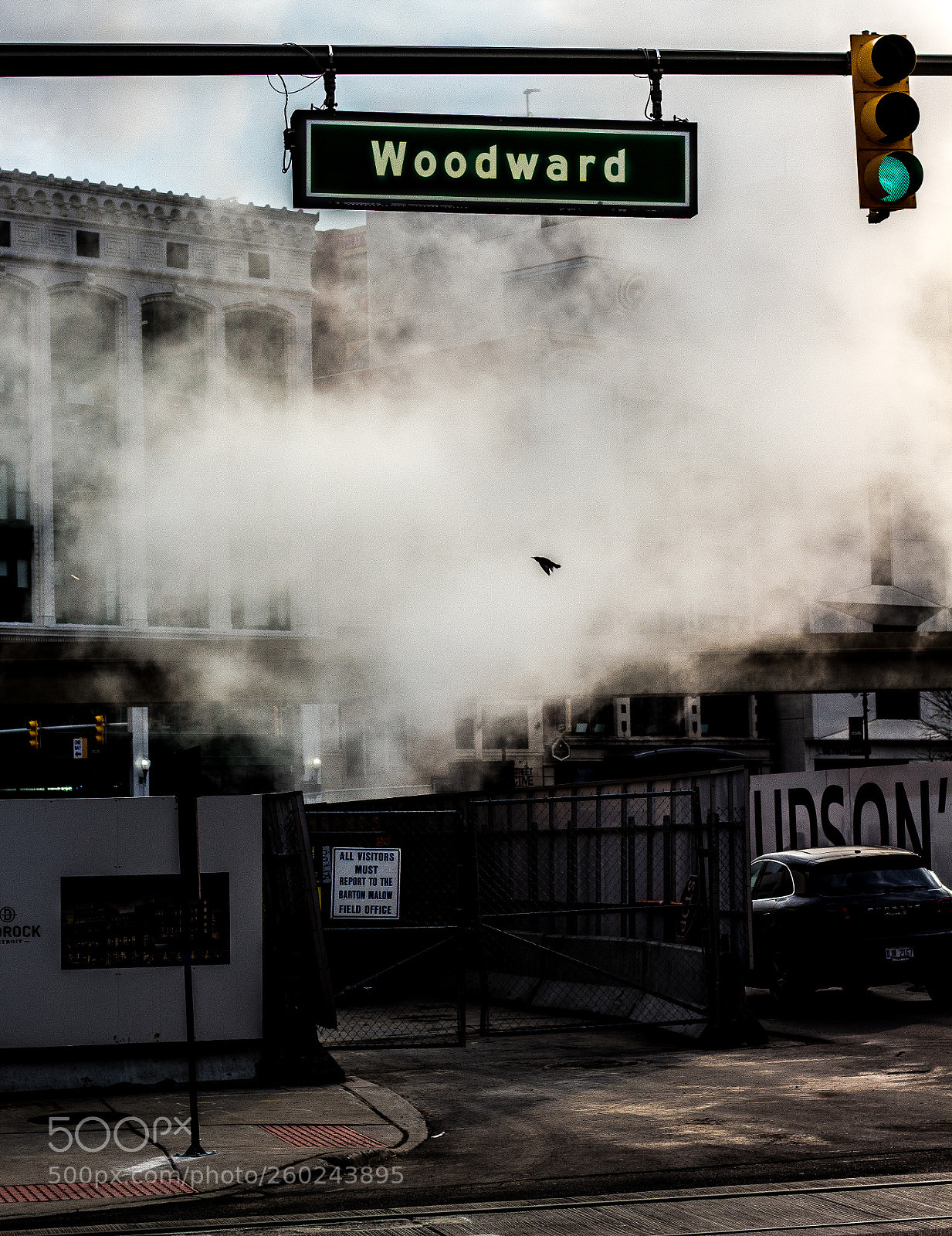 Canon EOS 700D (EOS Rebel T5i / EOS Kiss X7i) sample photo. Smokey_bird photography