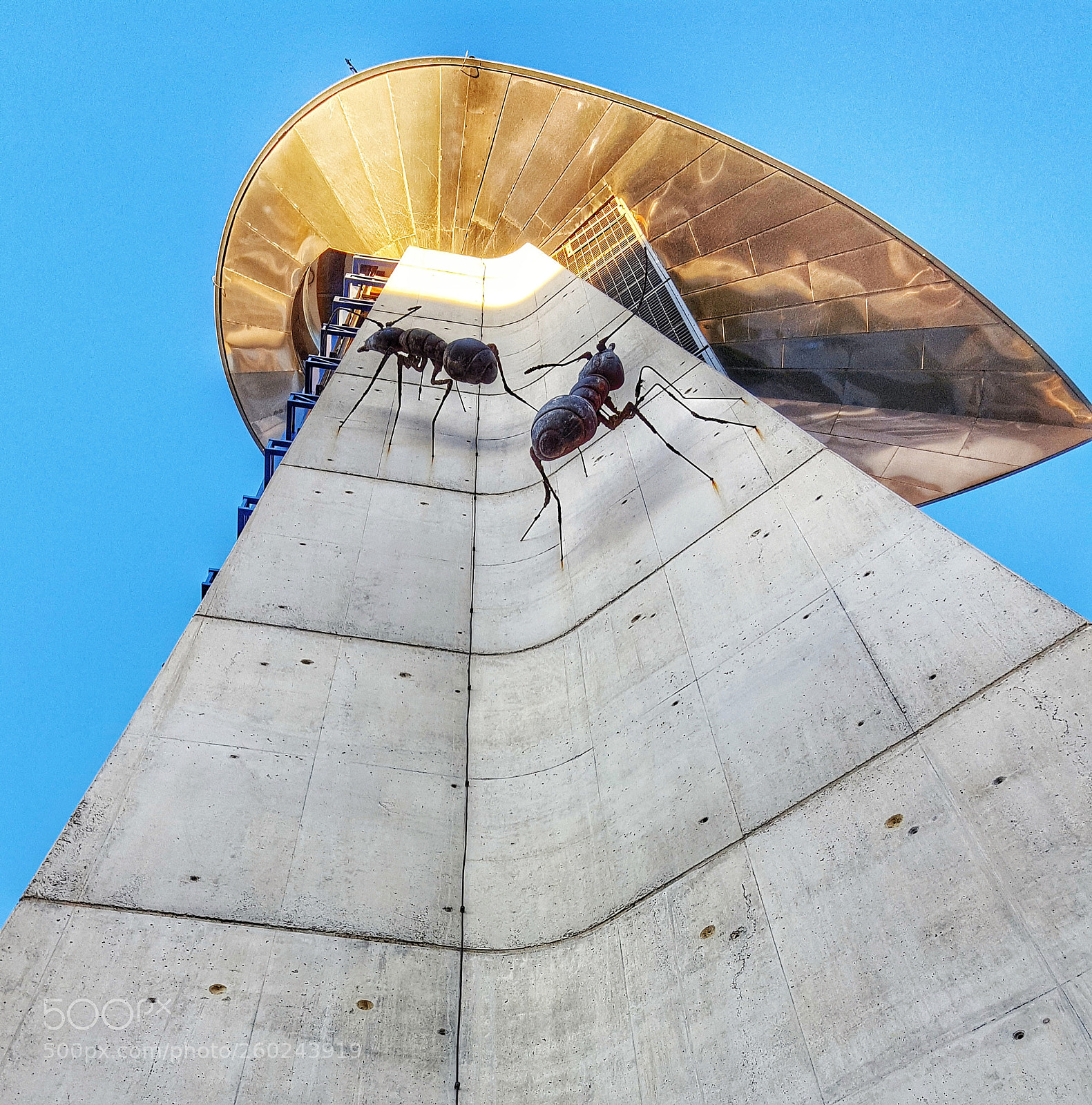 Samsung Galaxy S6 sample photo. Ants on tower.jpeg photography