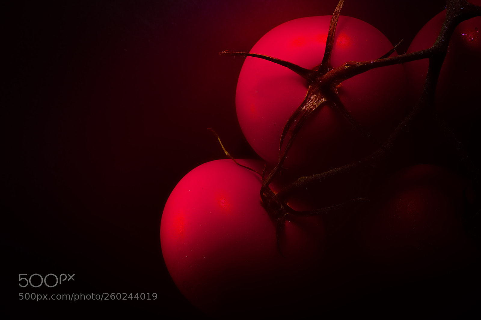 Fujifilm X-Pro2 sample photo. Tomato 1 photography