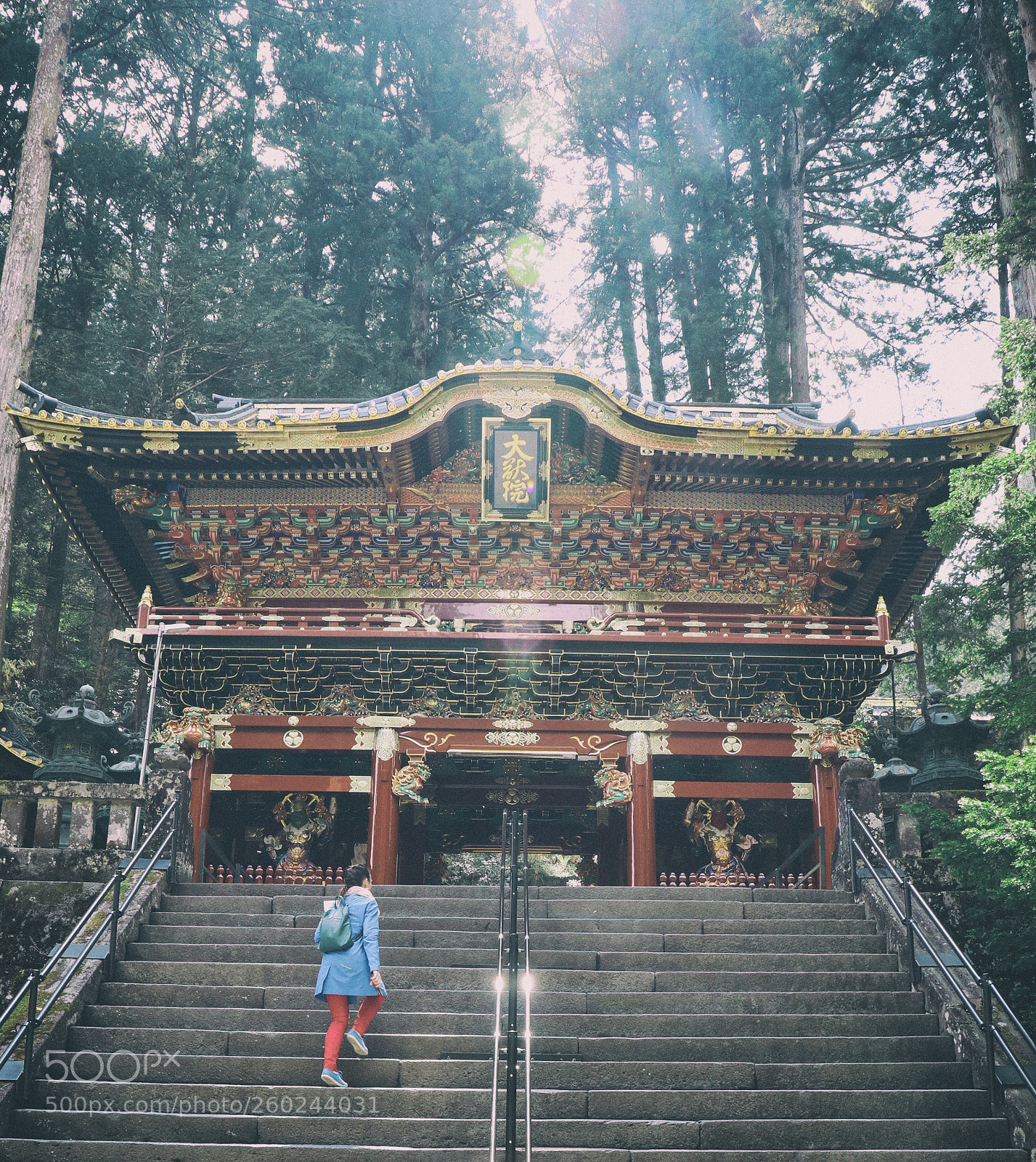 Canon EOS M5 sample photo. Nikko photography