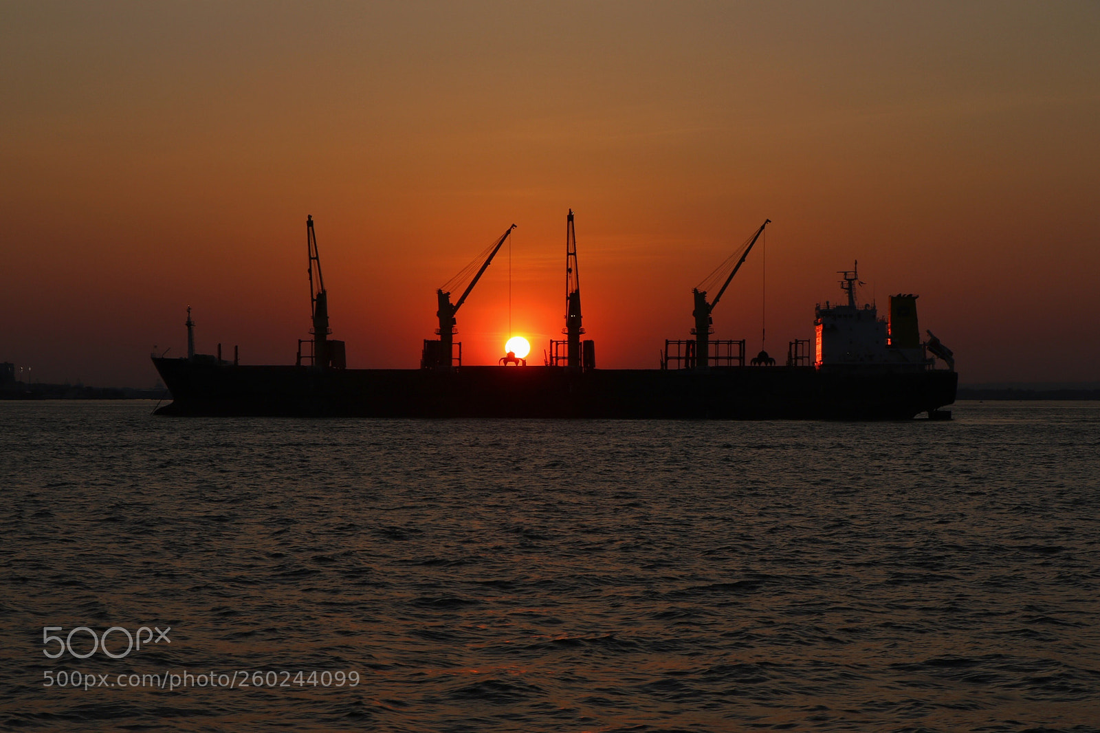 Canon EOS 7D Mark II sample photo. Untitled photography