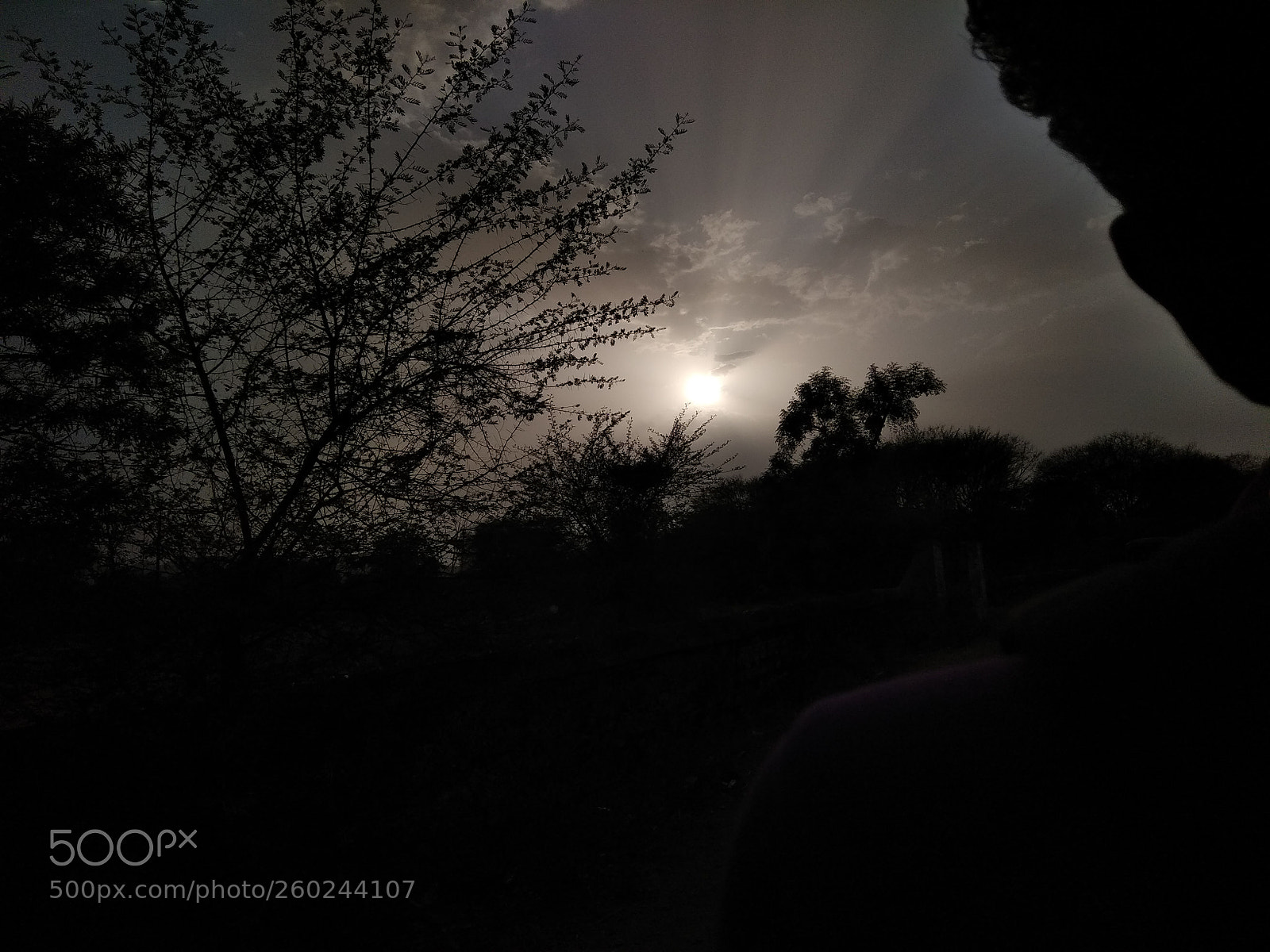 Xiaomi Redmi Note 4 sample photo. Untitled photography