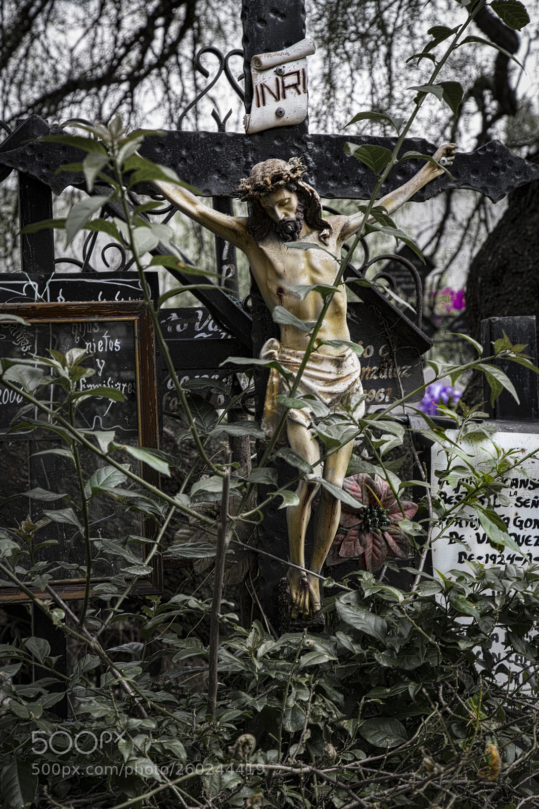 Canon EOS 6D sample photo. Inri photography