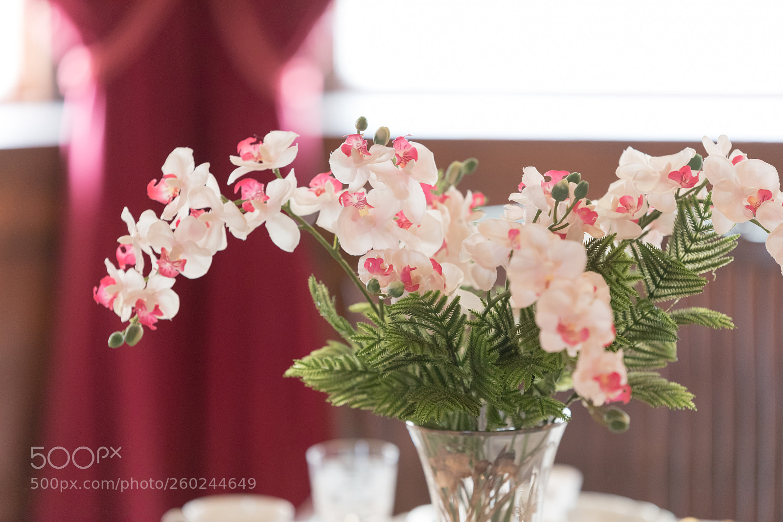 Nikon D750 sample photo. Beautiful pink flowers in photography