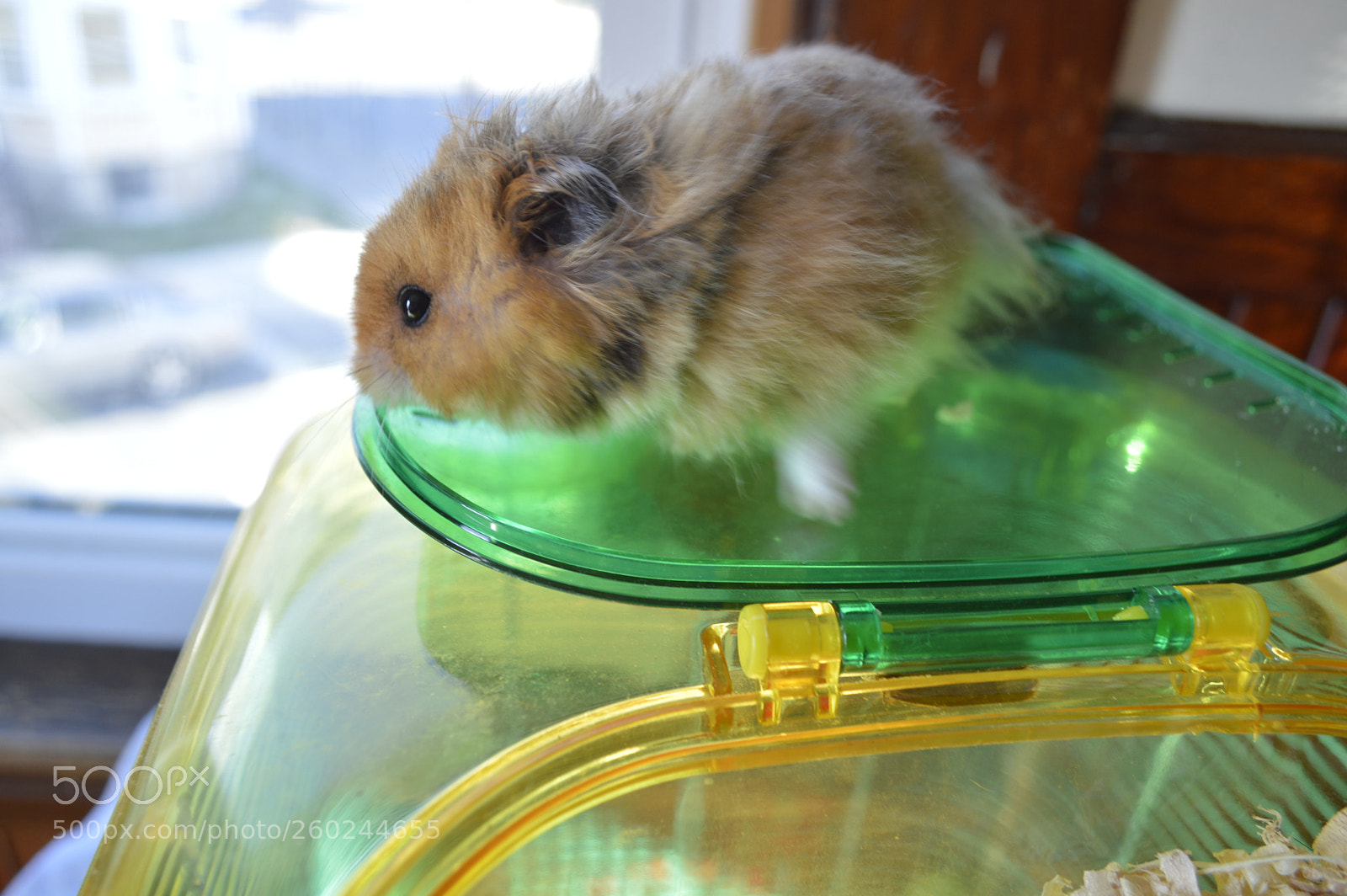 Nikon D3200 sample photo. Dsc photography