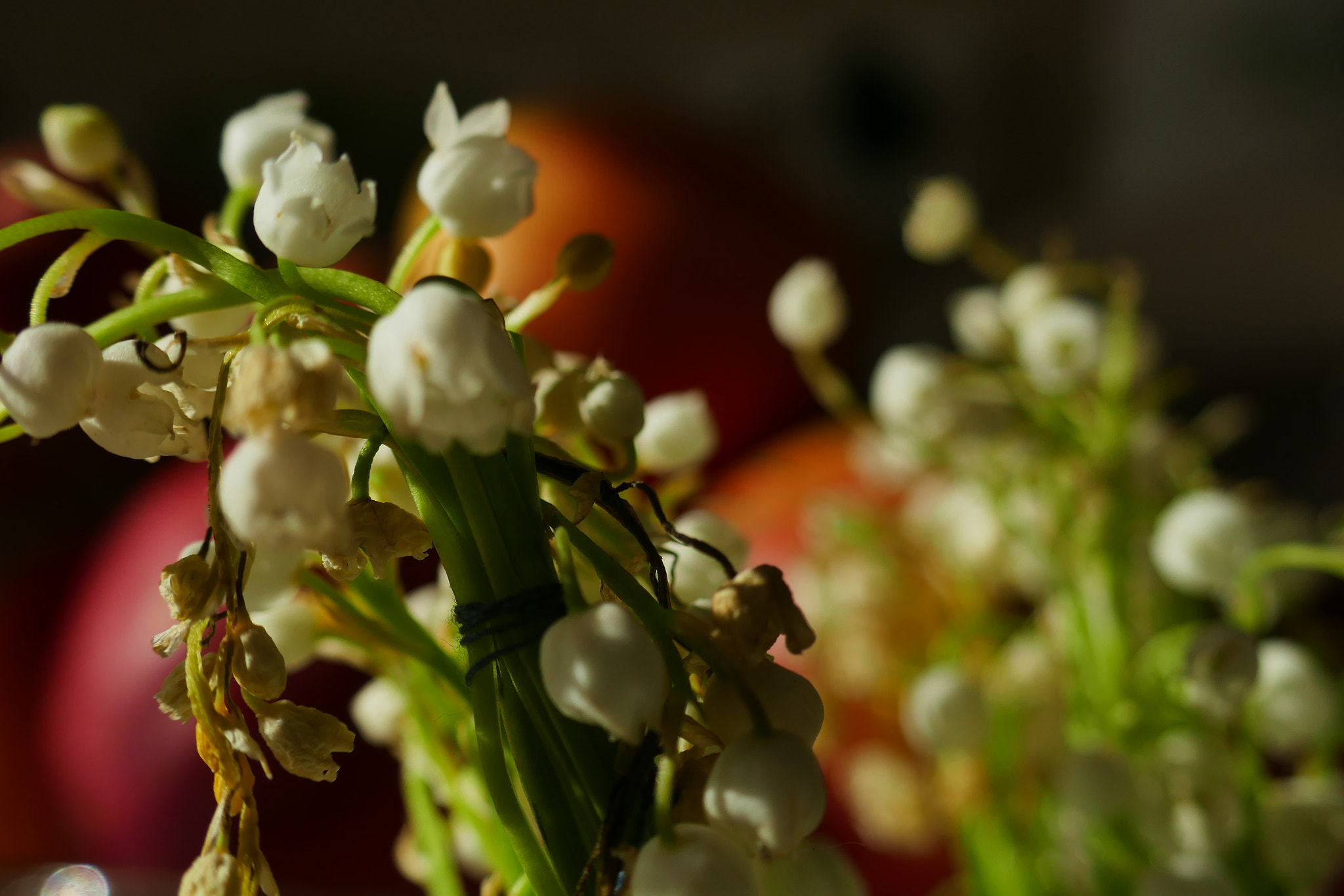 Panasonic Lumix DMC-ZS100 (Lumix DMC-TZ100) sample photo. P photography