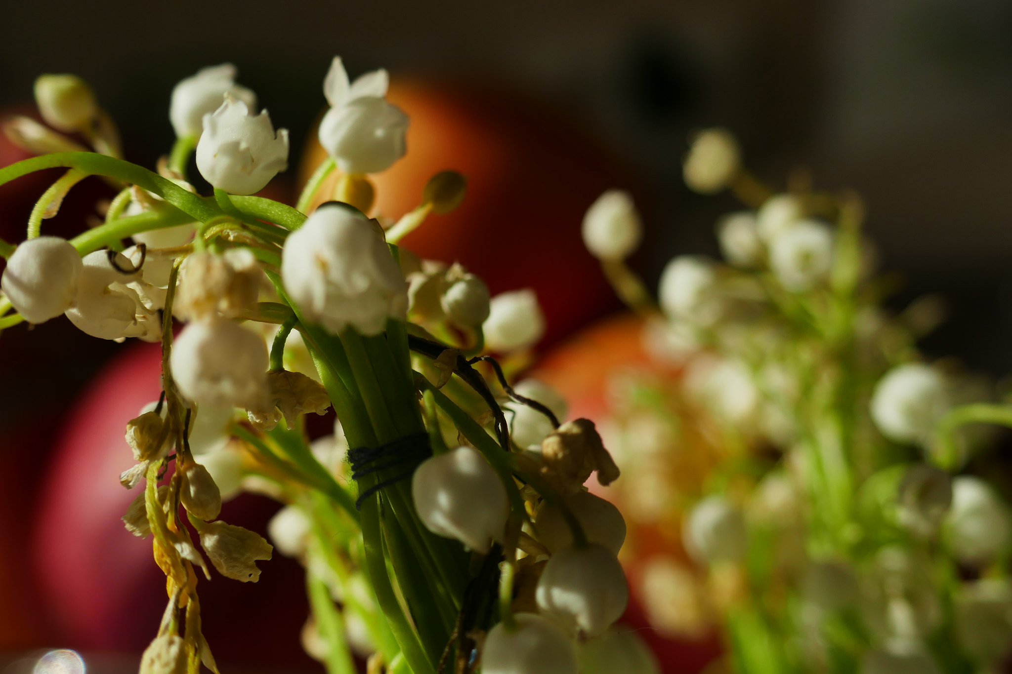 Panasonic Lumix DMC-ZS100 (Lumix DMC-TZ100) sample photo. P photography