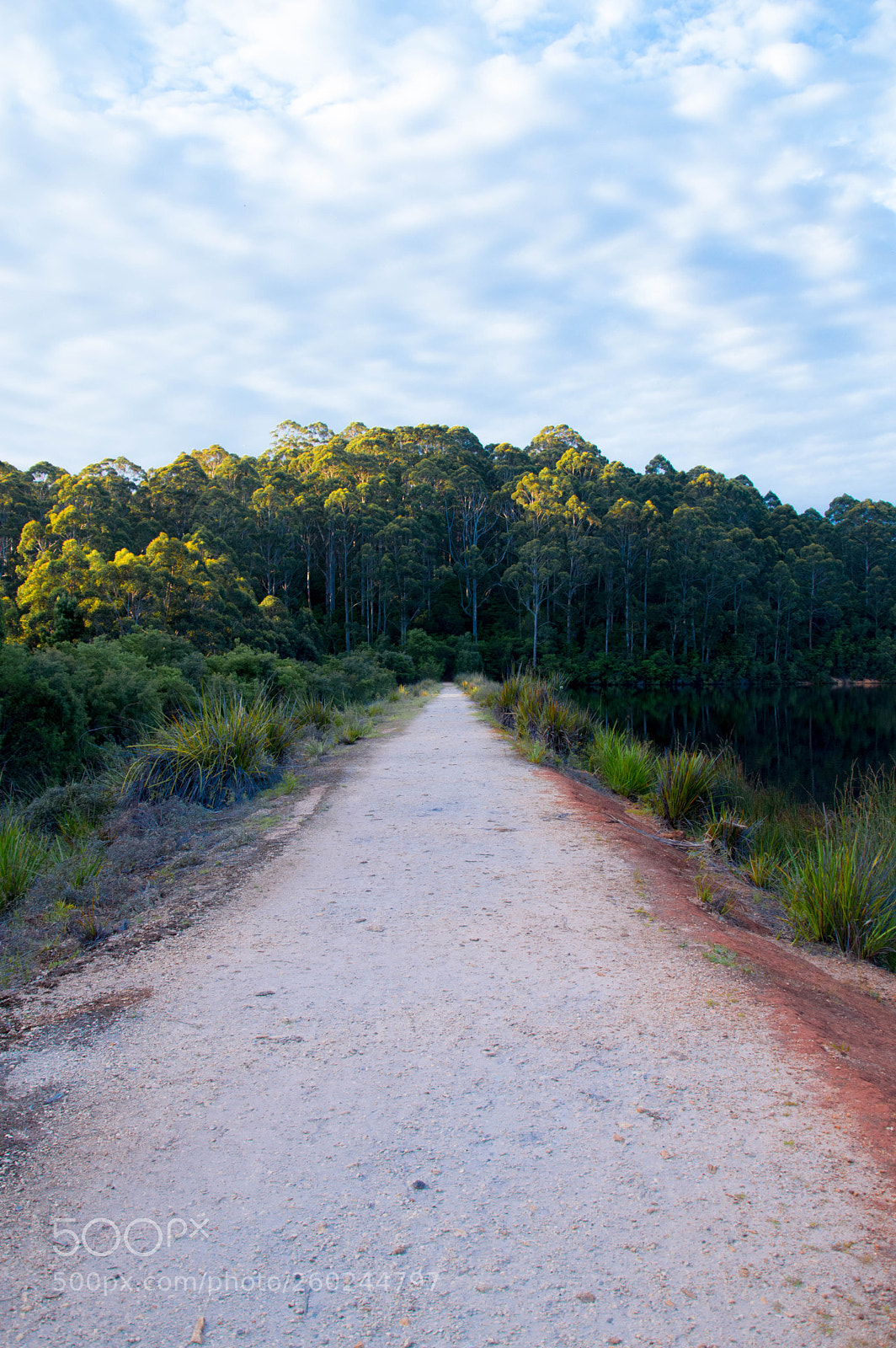 Nikon D3200 sample photo. Karri vallley 01 photography