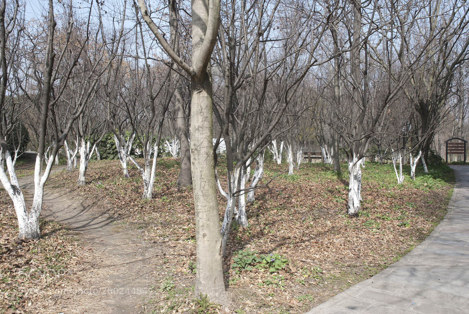 Nikon D80 sample photo. Shanghai photography