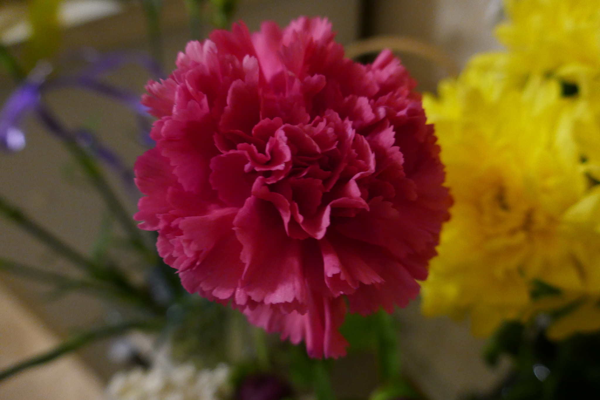 Panasonic Lumix DMC-ZS100 (Lumix DMC-TZ100) sample photo. P photography