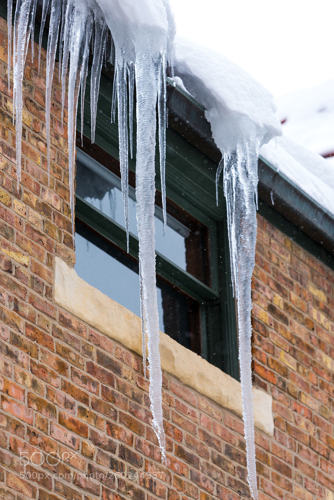 Nikon D750 sample photo. Big icicles on a photography