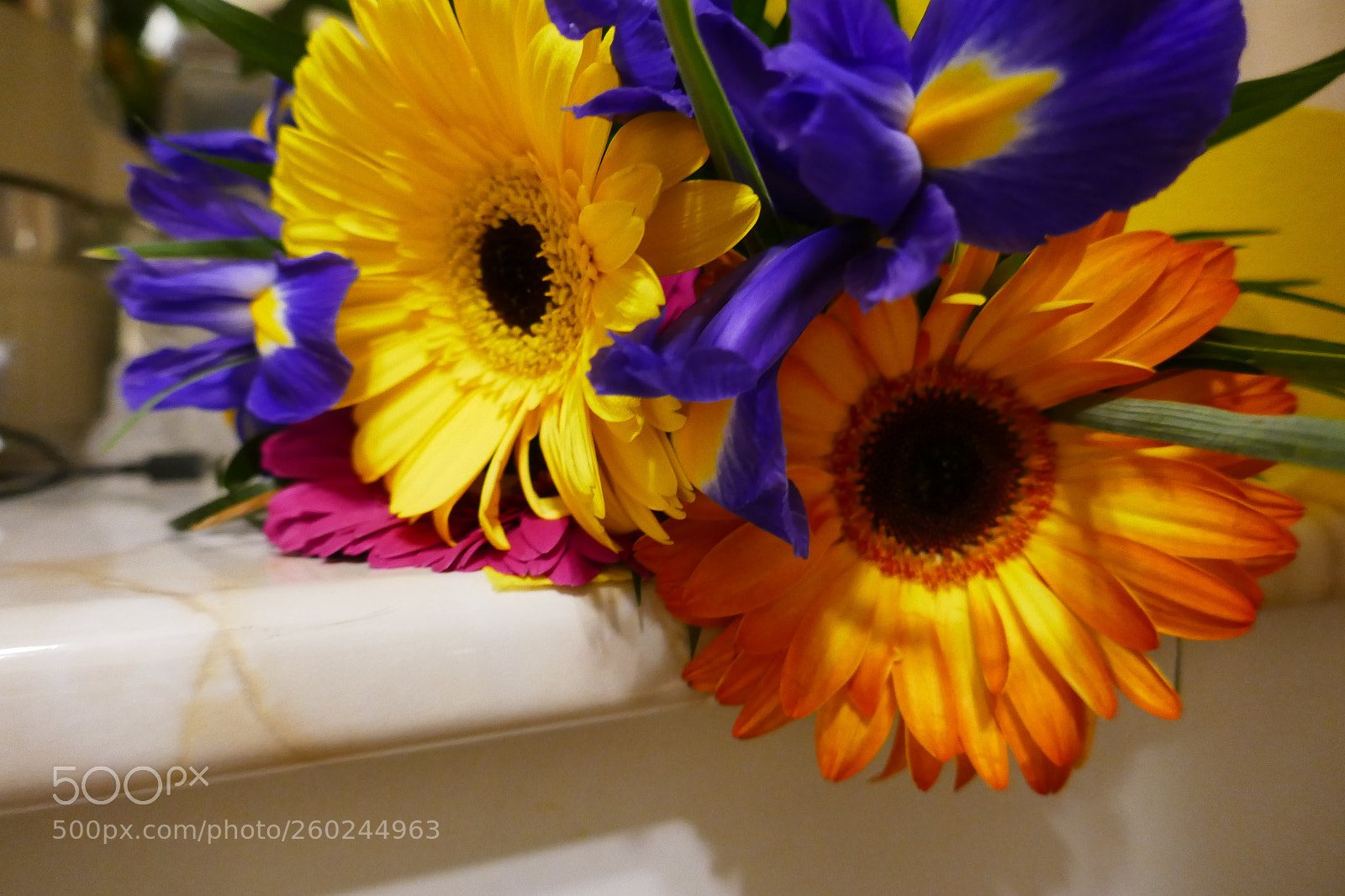 Panasonic Lumix DMC-ZS100 (Lumix DMC-TZ100) sample photo. P photography