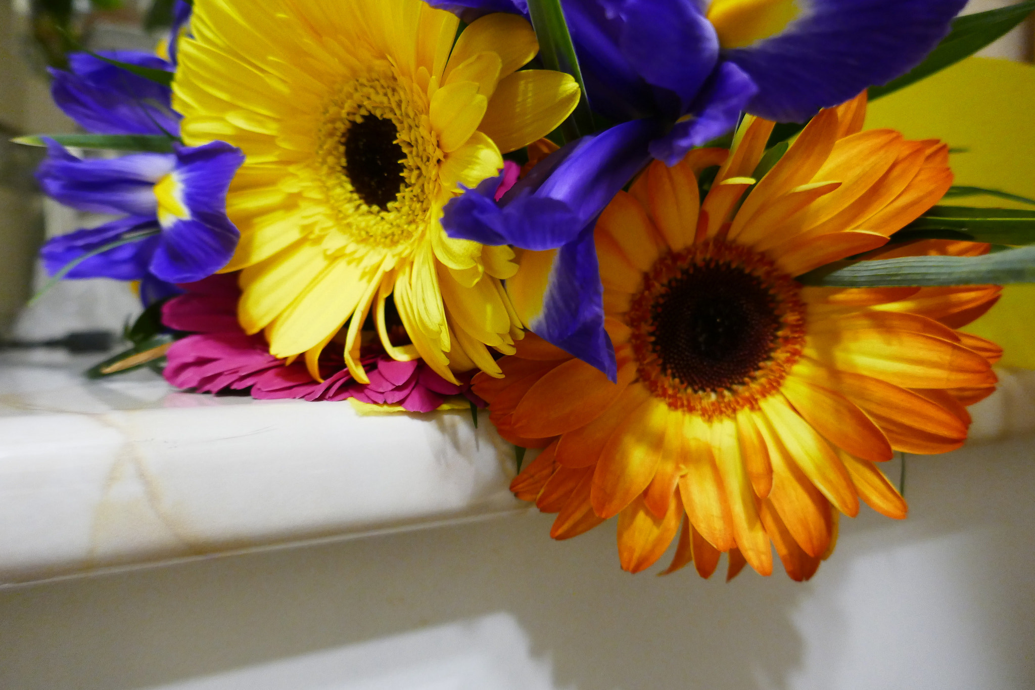 Panasonic Lumix DMC-ZS100 (Lumix DMC-TZ100) sample photo. P photography