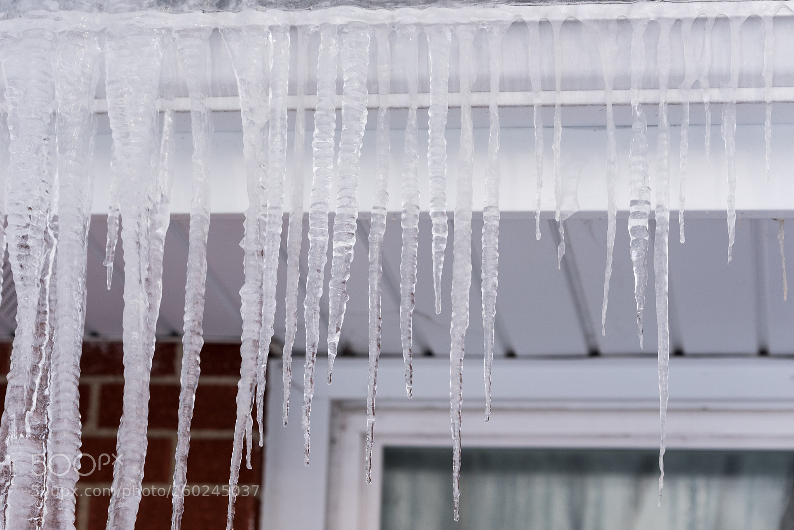 Nikon D750 sample photo. Big icicles on a photography