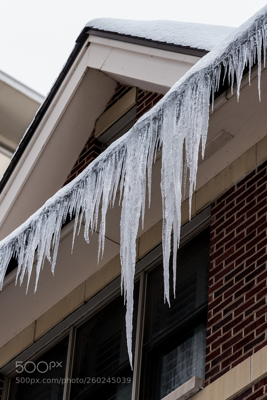 Nikon D750 sample photo. Big icicles on a photography