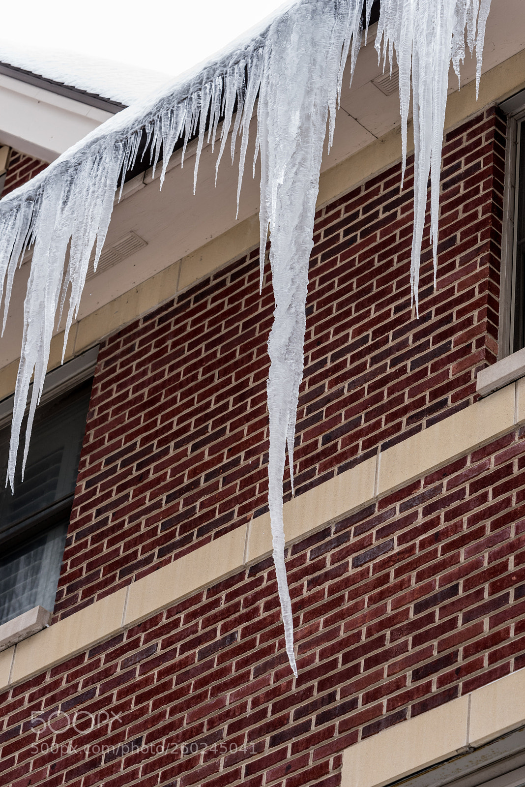 Nikon D750 sample photo. Big icicles on a photography