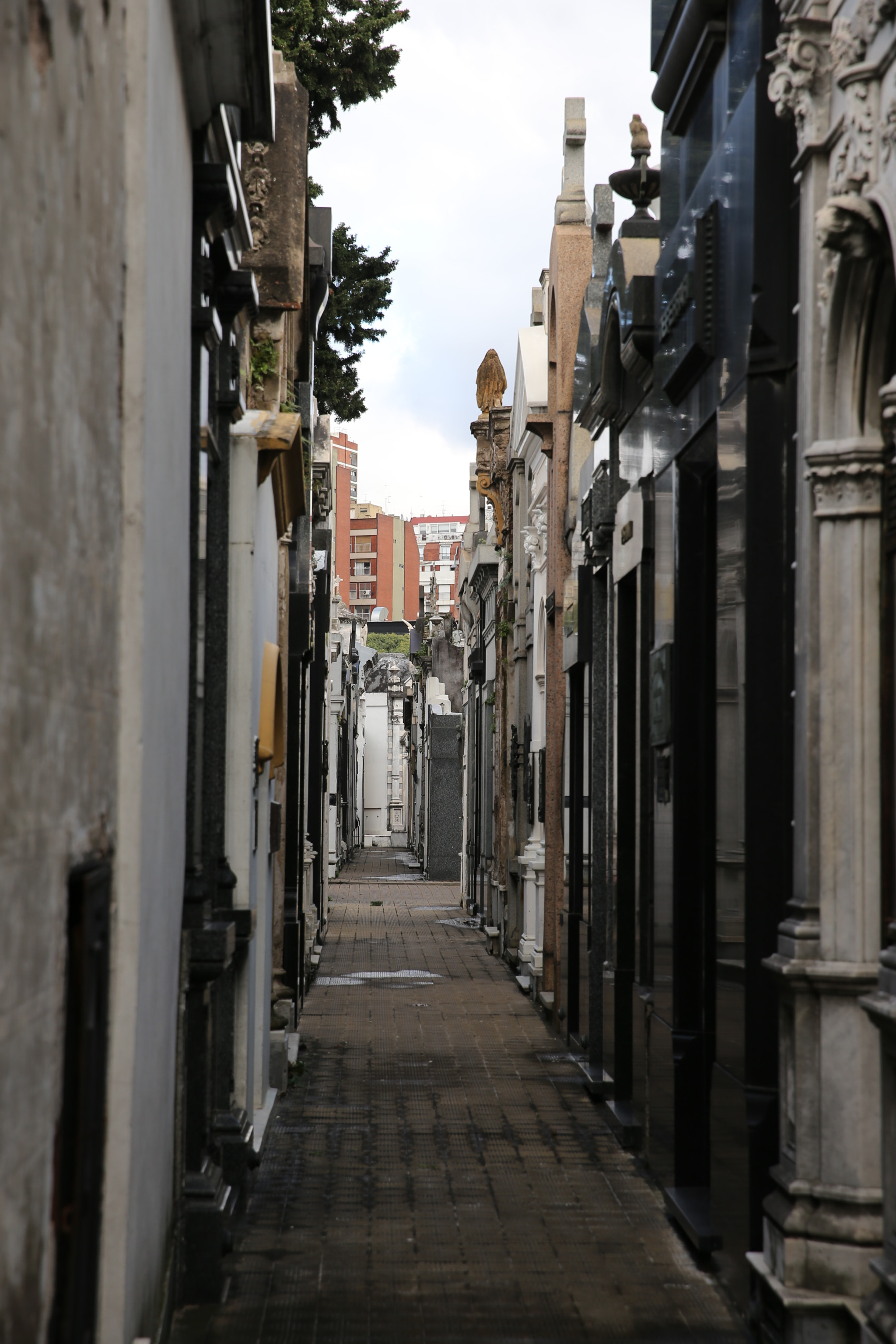 Canon EOS-1D X sample photo. Recoleta cemetery photography