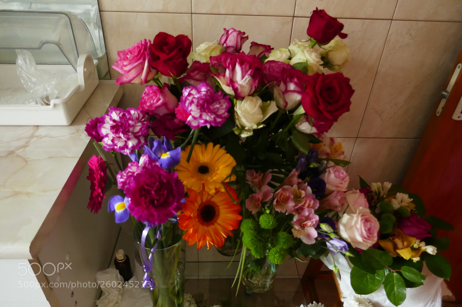 Panasonic Lumix DMC-ZS100 (Lumix DMC-TZ100) sample photo. P photography