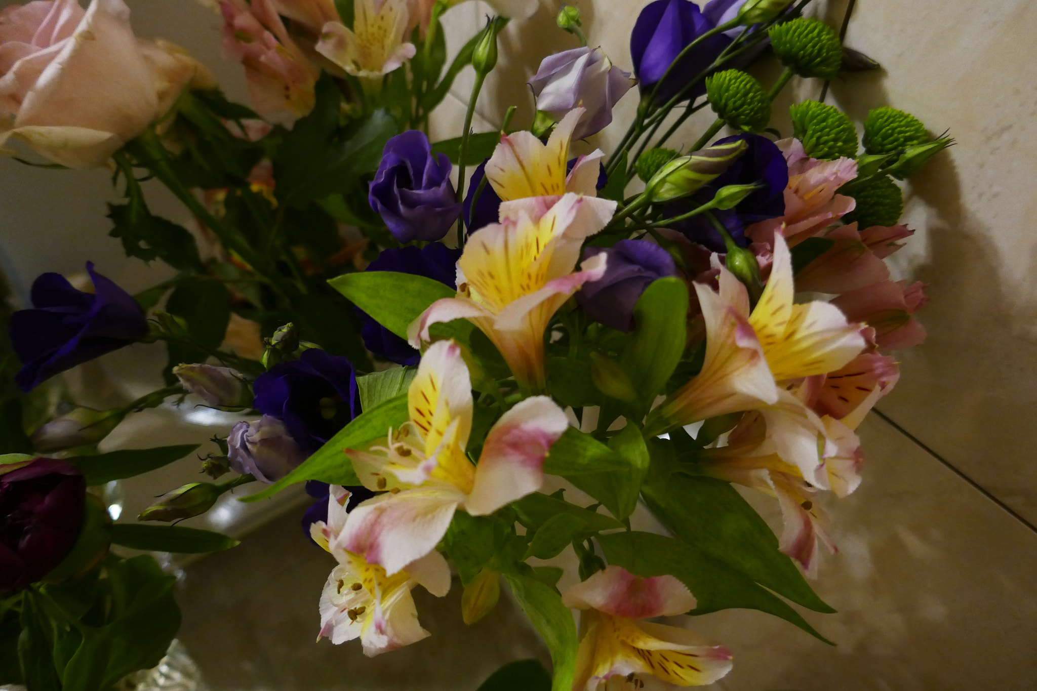Panasonic Lumix DMC-ZS100 (Lumix DMC-TZ100) sample photo. P photography