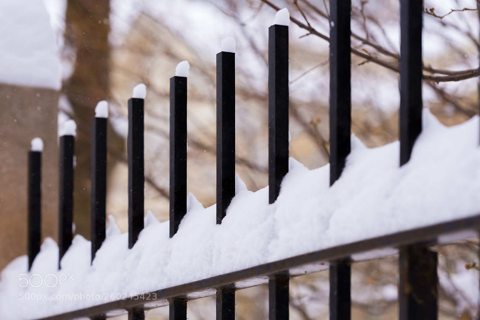 Nikon D750 sample photo. Metal fence outside under photography