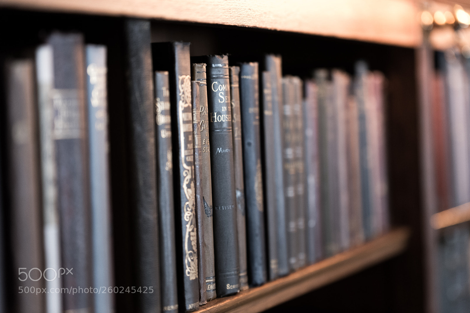 Nikon D750 sample photo. Old books on a photography