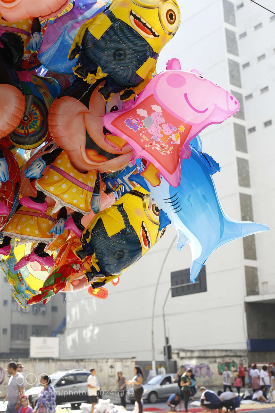 Canon EOS 6D + Canon EF 50mm F1.8 STM sample photo. Untitled photography