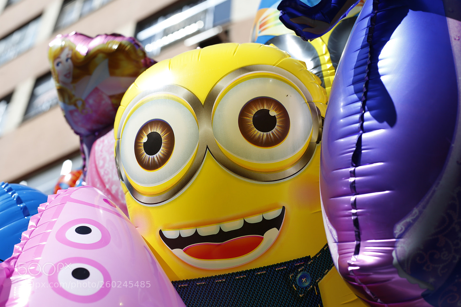 Canon EOS 6D + Canon EF 50mm F1.8 STM sample photo. Untitled photography