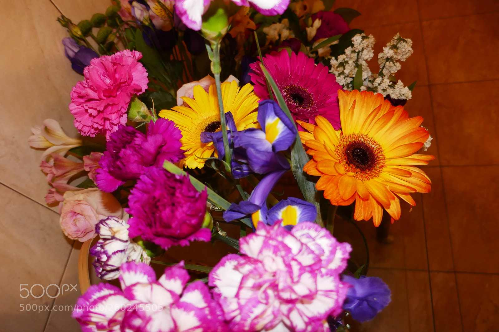 Panasonic Lumix DMC-ZS100 (Lumix DMC-TZ100) sample photo. P photography
