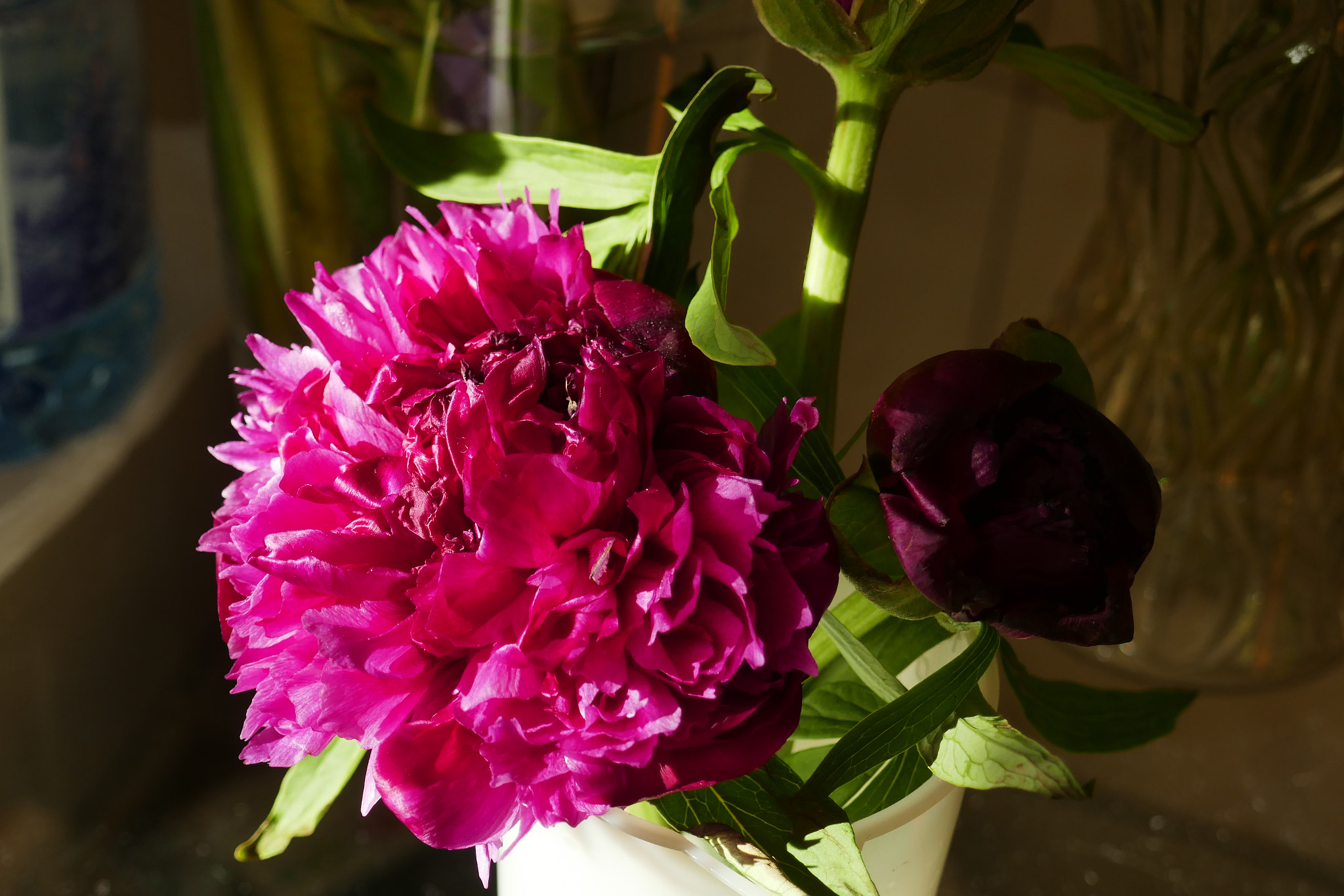 Panasonic Lumix DMC-ZS100 (Lumix DMC-TZ100) sample photo. P photography