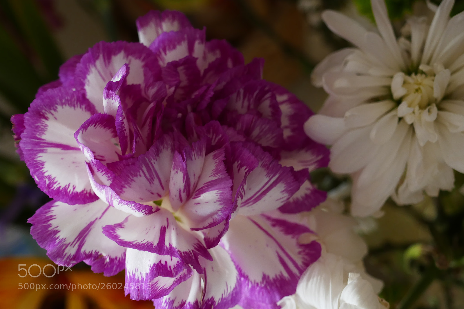 Panasonic Lumix DMC-ZS100 (Lumix DMC-TZ100) sample photo. P photography