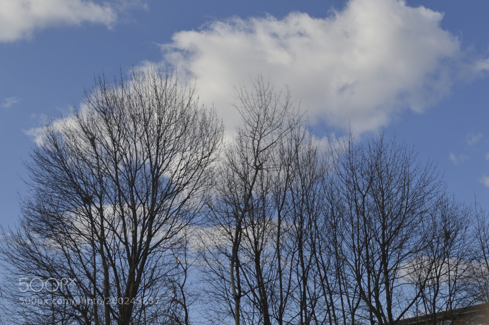 Nikon D3200 sample photo. Dsc photography